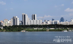 강남불패의 상징, 도곡 타워팰리스·현대아파트 집값 뚝