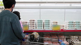 [포토] 또 계란이 금란되나… AI 확산에 가격 불안