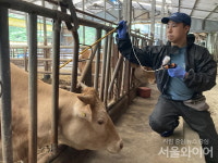 포항시, 지역 내 구제역 유입 차단 총력