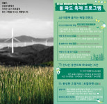 6월 대관령 삼양목장에서 시원한 풀 썰매 어때요?