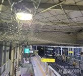 대구교통공사, 수성시장역에 비둘기 차단망 설치 배설물서 해방