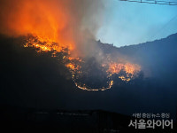 안동시, 길안면 산불 확산 방지 총력 대응