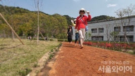 청도문화테마파크 신화랑풍류마을에 맨발걷기 열풍 강타