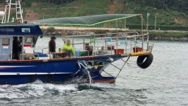여수해경, 고흥 장예항 인근 해상서 낚시어선·연안복합어선 충돌사고 구조