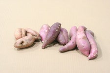 경기도, 전국 최초로 아까운 농산물 유통 지원 시행