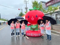 경기 광주시자원봉사센터, 퇴촌토마토거리축제 현장 지원