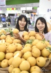 [뉴스투데이 E] 농협 하나로마트, 첫 출하한 햇배 ‘한아름·원황’ 할인판매