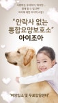 강아지 및 고양이 파양 긴급보호 어플 ‘아이조아 요양보호소’ 출시