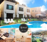 “반려견과 경기도 가평 여행”.. 애견인들, 아침고요수목원 벨르앙쥬 애견 펜션 관심