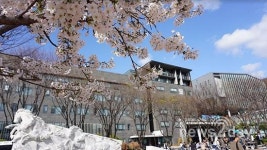 숭실사이버대학교 2019학년도 1학기 정시 모집, ‘이번주 금요일 모집 마감’
