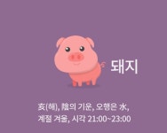 [오늘의 띠별 운세] 돼지띠, 2월 11일(월요일).. 59년생 기대하지 않던 돈이 들어온다