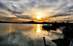 [주말여행 가볼만한 곳] 제철 주꾸미가 맛있는 서해 항구 5곳