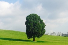 [주말여행 가볼만한 곳] 연인과 함께 ‘인생샷’ 찍기 좋은 5곳 추천