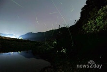 영양군, 제15회 영양 별빛 반딧불이 축제 ‘성황’