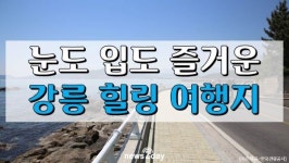 [뉴스투데이 카드뉴스] “가을 나들이하러 가자~” 강릉 힐링 여행지 5곳 추천