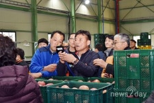 청송군, 사과유통센터 송원APC ‘농산물공판장’ 본격 운영