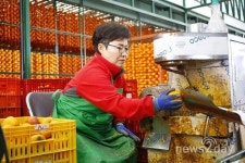 상주시, 김종민 의원 ‘양촌곶감·상주곶감 둔갑’ 발언 파장