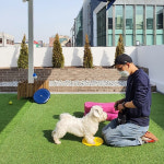 반려견 멀티플렉스공간 ‘프랑소와펫 강남센터’, 신규 가입 회원 적립금 2,000원 지급