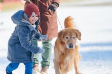 [뉴스투데이 E] 반려견과 함께 즐기는 펫캉스 여행, 휘닉스 평창 스노우파크