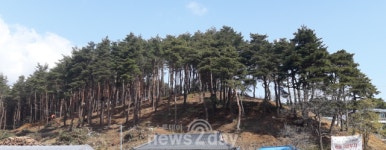 [현장] 동해 프라우드 스위첸, 동해시 대표 주거 단지 북삼지구 내 5년 만에 새 아파트 공급