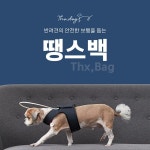 노령견 안전 보행 돕는 노견 엔젤링 제품 ‘땡스백’, 와디즈 펀딩 진행