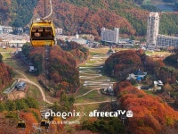 휘닉스 평창, 가을 올인클루시브 랜선여행 프로젝트 진행