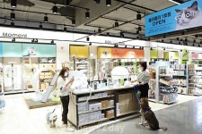 [뉴투포토] 롯데마트, 펫 전문매장 ‘콜리올리’ 오픈