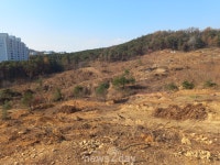 [현장] 한화 포레나 청주매봉, 청주 부동산 시장 연착륙 기대↑