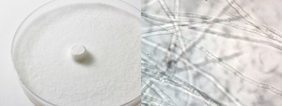 퓨젠바이오, 세리포리아 락세라타, 알츠하이머병 잠재적 억제 효과 확인