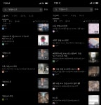 [관점뉴스] 불법 촬영물 아닌 애먼 고양이만 잡은 ‘N번방 방지법’… 法 지킨 카카오는 난감