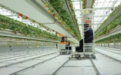 “그린플러스, 외형은 본업(별도)… 이익 성장은 자회사가 견인할 듯”