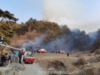 봉화 봉화읍 내성리 원인미상 산불 발생…진화 작업 중