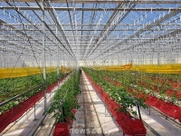 경북도, 최초로 ‘축분연료 농업용에너지 전환설비’ 구축