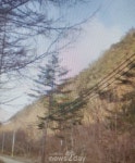 봉화 소천면 남화룡리 산불 발생…산림당국 진화 중