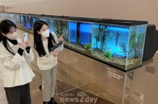 [뉴투포토] 갤러리아 광교, 백남준 ‘TV물고기’ 전시