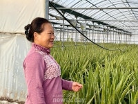 [심층기획 : 김정문알로에 ESG경영 (상)] 제주 재배농가 가보니…물과 알로에 껍질로만 키워요