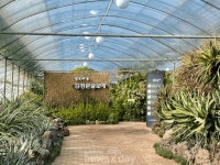 [심층기획 : 김정문알로에 ESG경영 (상)] 제주 재배농가 가보니…물과 알로에 껍질로만 키워요