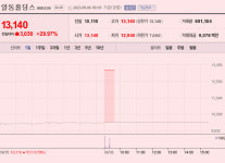 [이 특징주 버핏이라면] 일동홀딩스, 당뇨병 후보물질 임상1상 승인 소식에 주가 상승