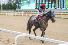 [주말 나들이] 한국마사회 렛츠런파크 부산경남, 12일 제16회 국제신문배 대상경주 개최...샛별과 노장의 진검승부