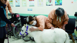 렛츠런파크 부산경남, 말을 통한 교감과 힐링...아픈 마음 돌보는 홀스테라피 ‘더 가까이’
