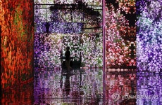 세계 최대 규모 몰입형 미디어아트 전시관 아르떼뮤지엄 부산 19일 개관