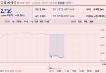 [이 특징주 버핏이라면] 티웨이항공·대명소노시즌 급락…예림당도 하락세