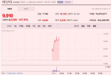 [이 특징주 버핏이라면] 아난티, 남북경협 기대감 속 27%대 강세