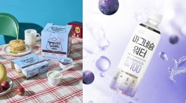 남양유업 빙그레 파주대리점 | [신상NEWS] 빙그레 ‘마그네슘 워터’·남양유업 ‘요거트밀크맛’