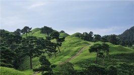 [김찬희의 방방곡곡 이야기 (5)] 대가야의 역사와 문화를 찾아 떠나는 고령 여행 과거와 현재가 공존하는 도시, 고령을 걷다