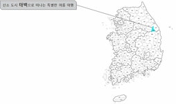 [김찬희의 방방곡곡 이야기 (7)] 산소 도시 태백으로 떠나는 특별한 여름 여행 고원에서 만나는 시원한 바람, 꽃, 물, 그리고 쉼