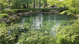 [김찬희의 방방곡곡 이야기 (7)] 산소 도시 태백으로 떠나는 특별한 여름 여행 고원에서 만나는 시원한 바람, 꽃, 물, 그리고 쉼