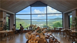 [김찬희의 방방곡곡 이야기 (7)] 산소 도시 태백으로 떠나는 특별한 여름 여행 고원에서 만나는 시원한 바람, 꽃, 물, 그리고 쉼