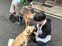 [ESG 한발 더] 교촌 ‘농촌 체험 봉사’·BBQ ‘동물보호센터 봉사’ 外