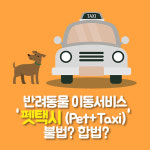 [카드뉴스] 법과 현실 사이... 반려동물 전용 펫택시(Pet Taxi) 논란